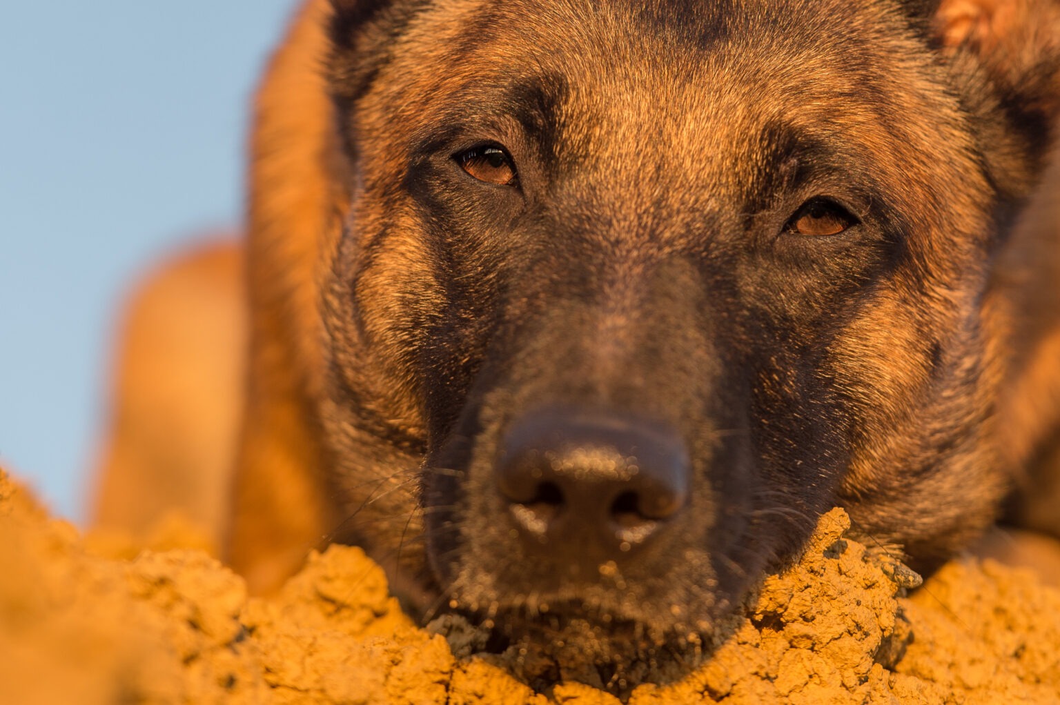 Social Media Fluch Oder Segen Tanja Brandt