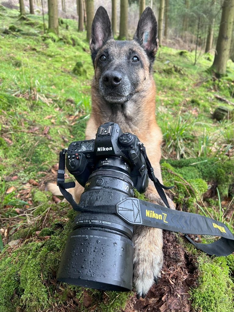Hund und Kamera - Onlinecoaching