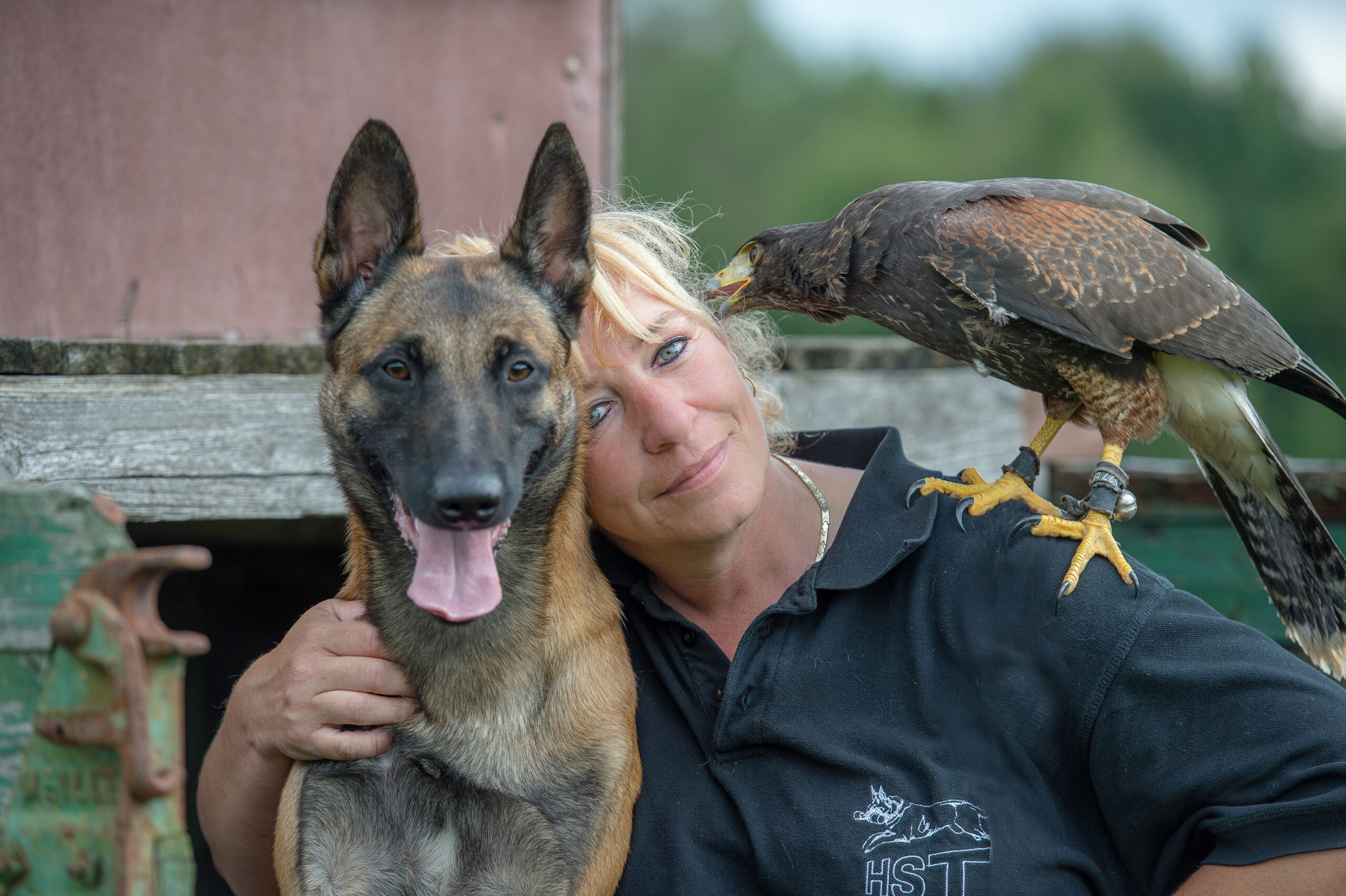 Tanja Brandt, Malinois Ingo, Wüstenbussard Phönix