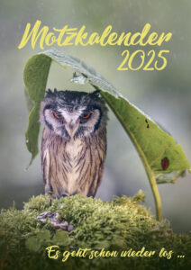 Motzkalender 2025