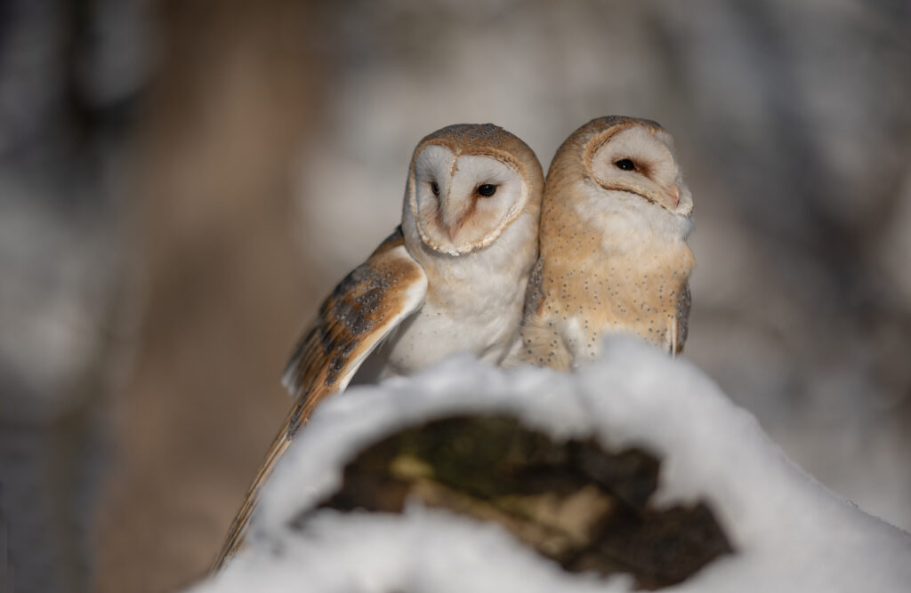 Lusi und Karola