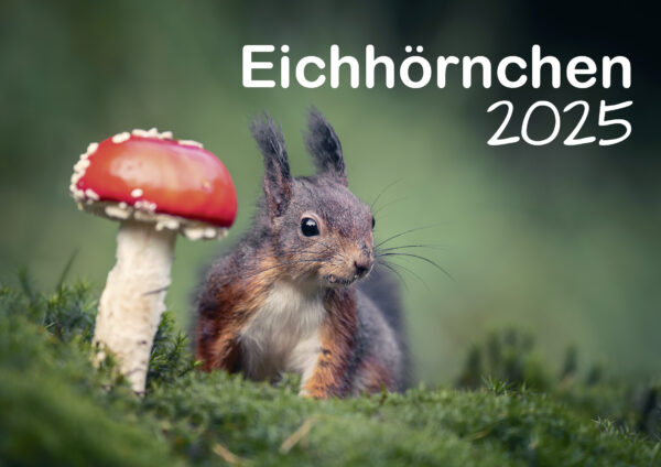 Eichhörnchen 2025