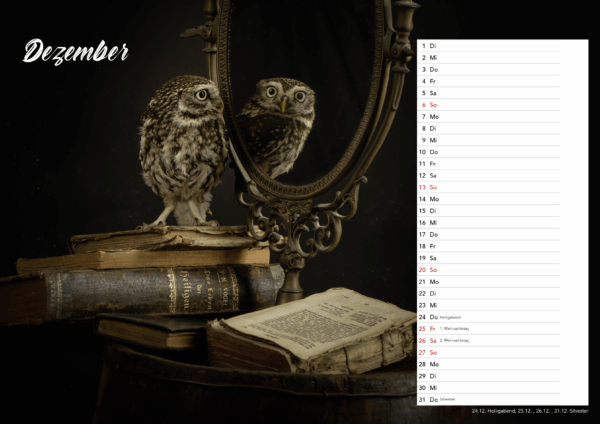Eulen DIN A3 Querformat – Bild 12