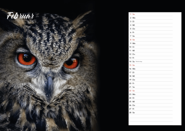 Eulen DIN A3 Querformat – Bild 4