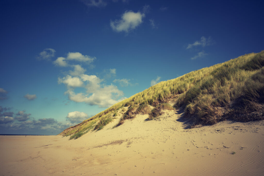 Strand Texel