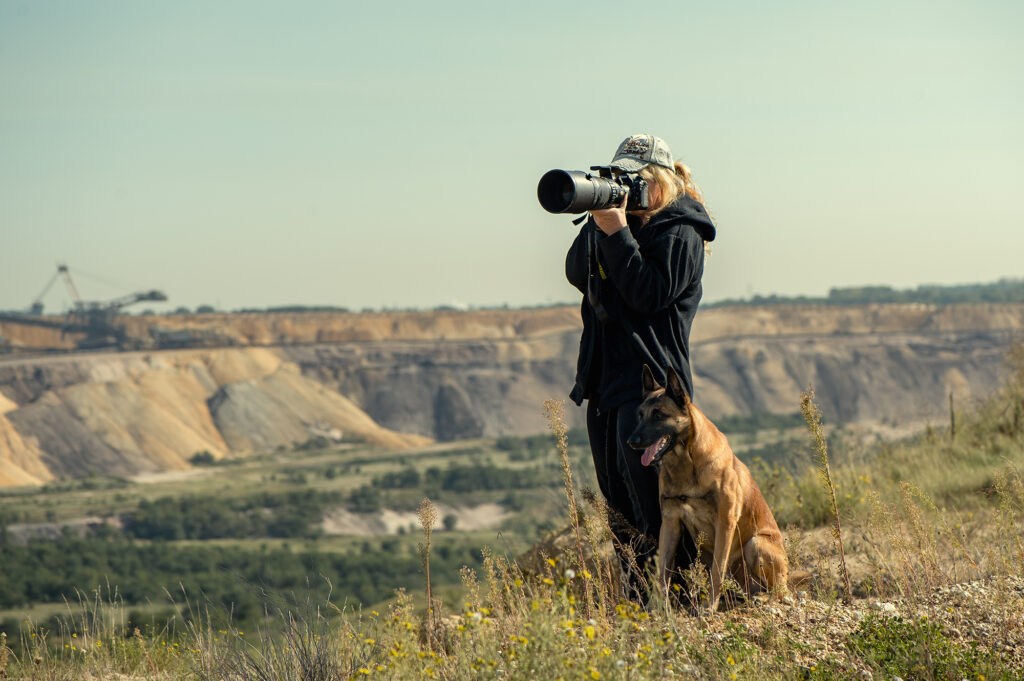 Wildlife Fotografie