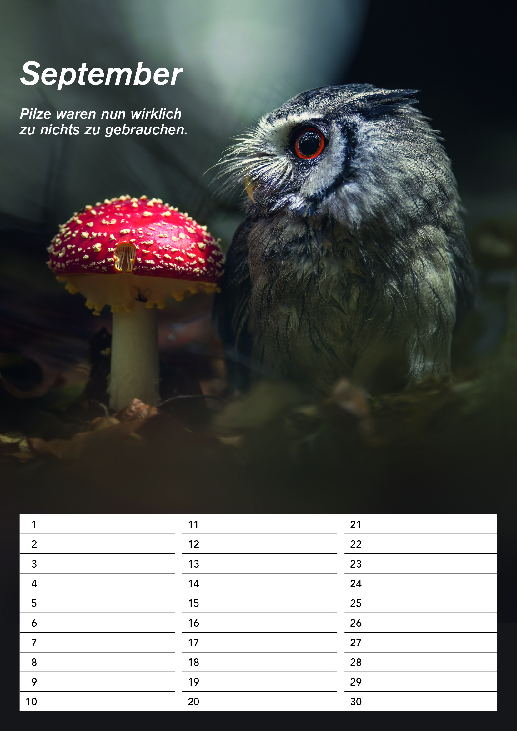 Der DIN A4 Gandalf Geburtstags Dauerkalender – Bild 10