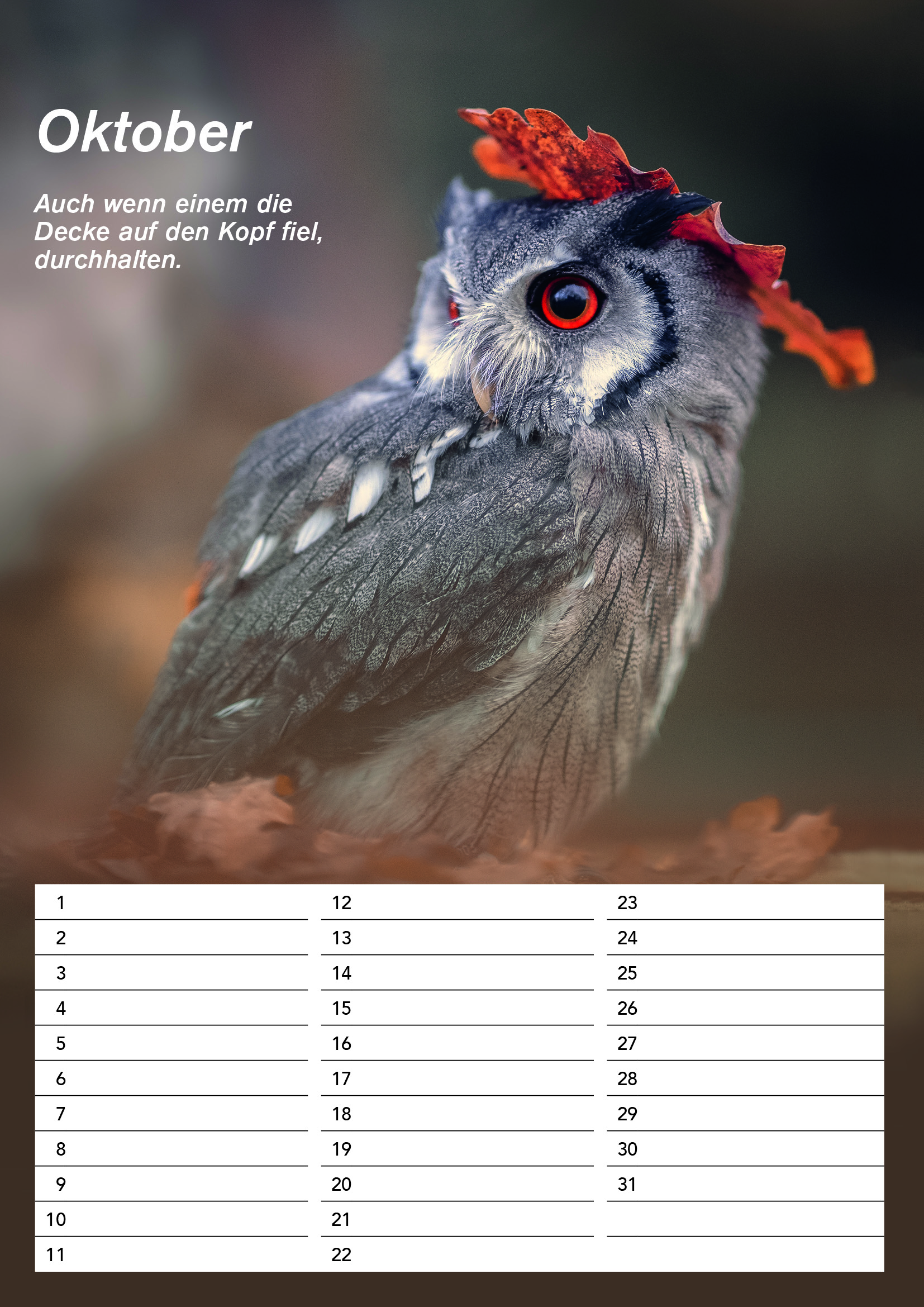 Der DIN A4 Gandalf Geburtstags Dauerkalender – Bild 11