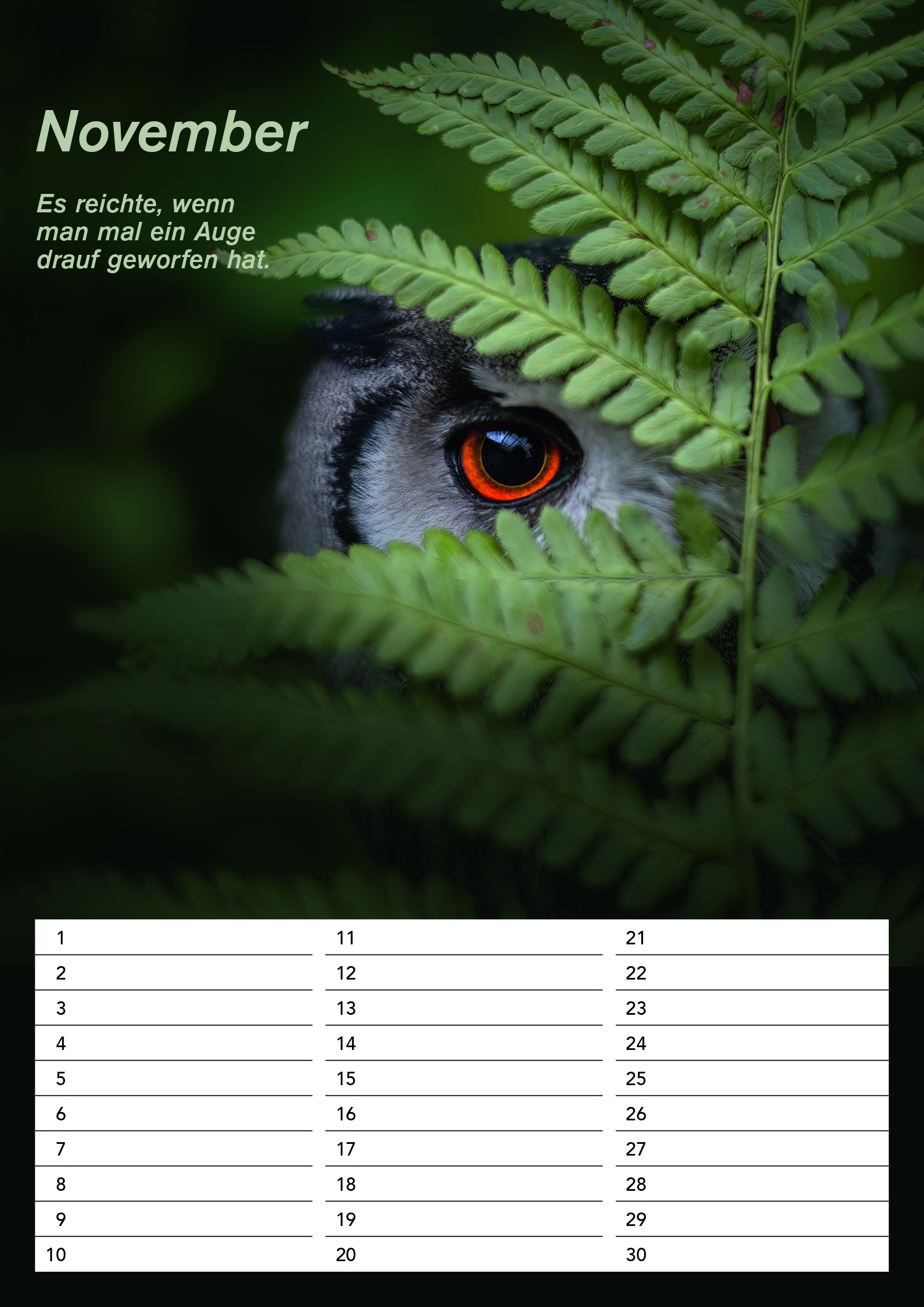 Der DIN A4 Gandalf Geburtstags Dauerkalender – Bild 12