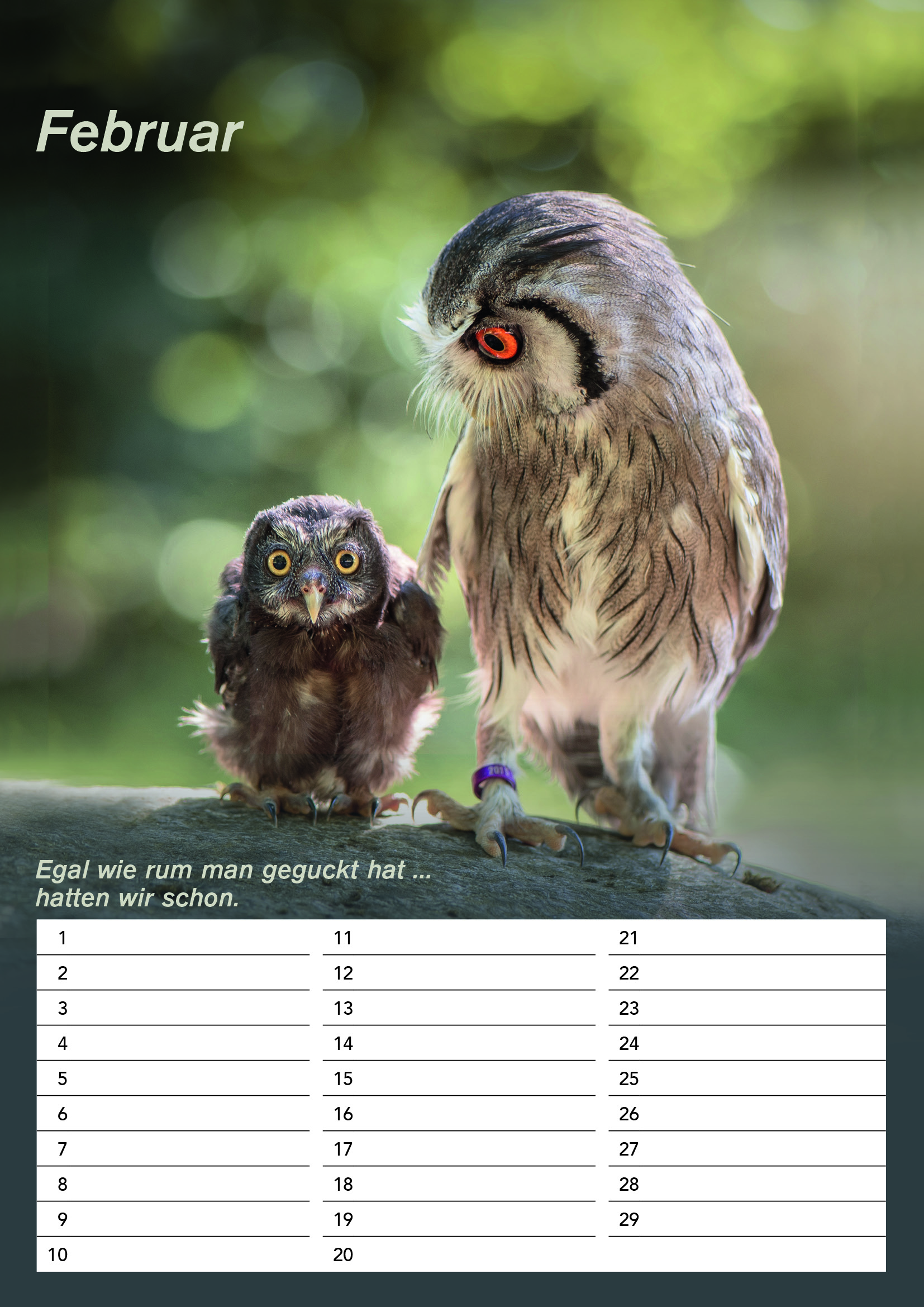 Der DIN A4 Gandalf Geburtstags Dauerkalender – Bild 3