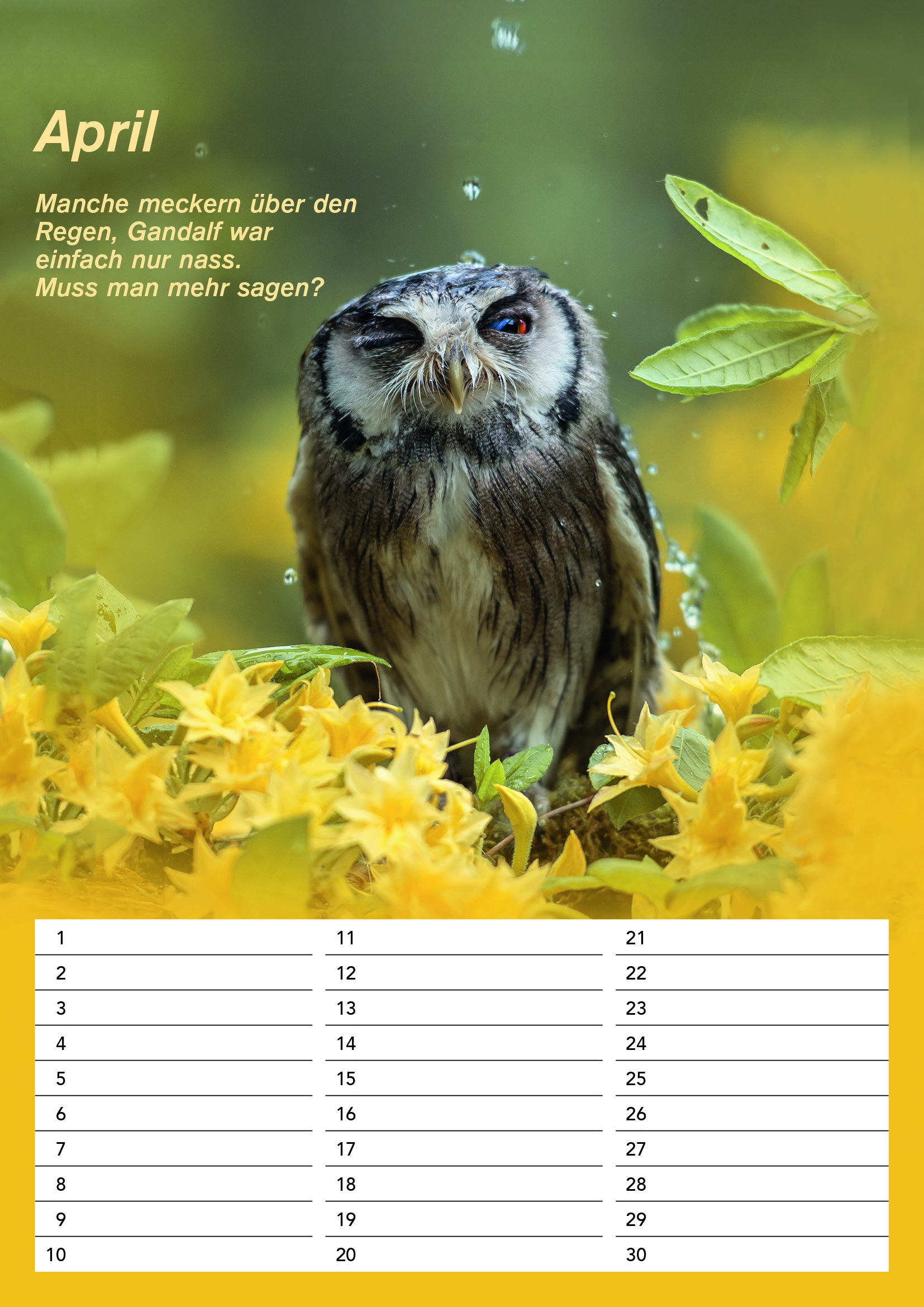 Der DIN A4 Gandalf Geburtstags Dauerkalender – Bild 5