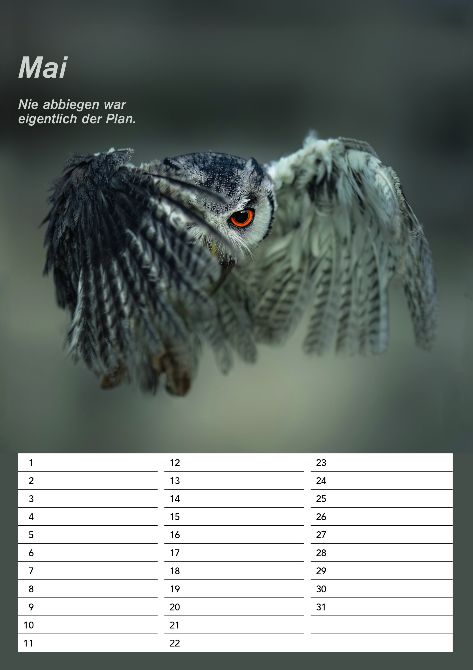 Der DIN A4 Gandalf Geburtstags Dauerkalender – Bild 6