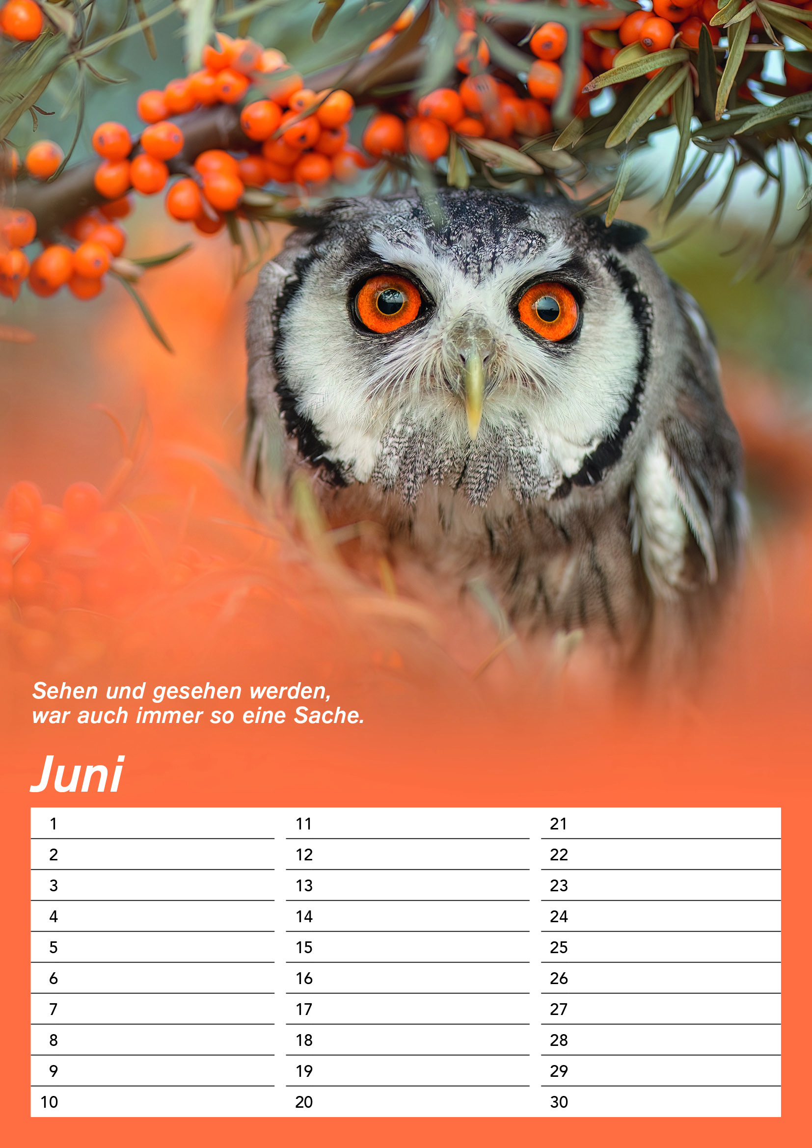 Der DIN A4 Gandalf Geburtstags Dauerkalender – Bild 7