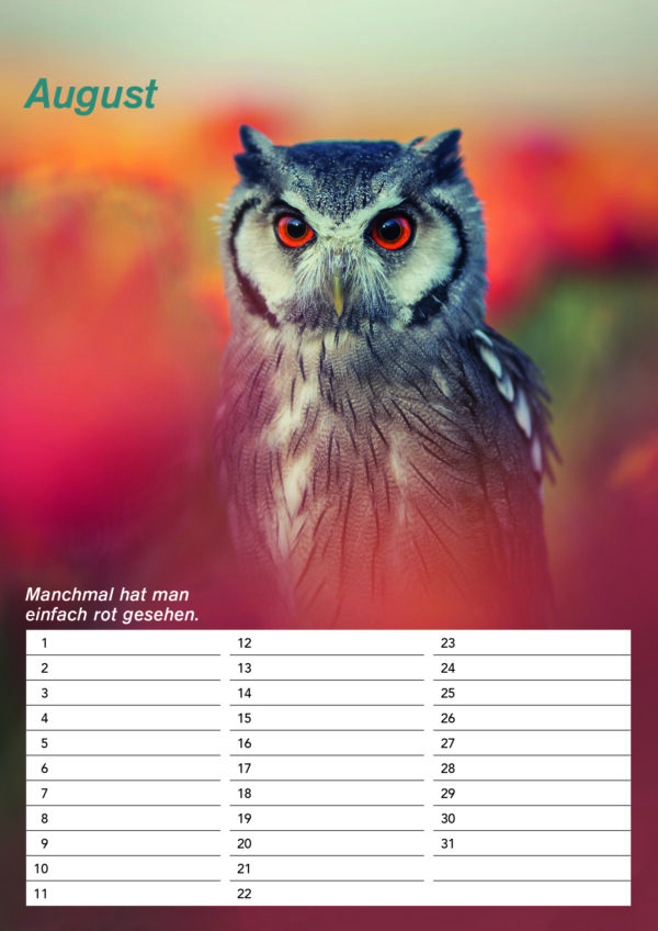 Der DIN A4 Gandalf Geburtstags Dauerkalender – Bild 9