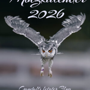 Gandalf Motzkalender 2026