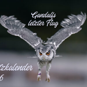 Monatstischkalender zum aufstellen A5 quer