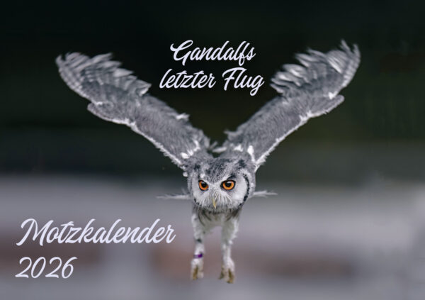 Monatstischkalender zum aufstellen A5 quer