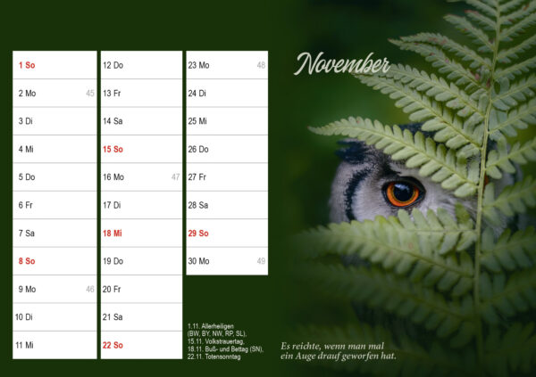 Monatstischkalender zum Aufstellen DIN A5 quer – Bild 13