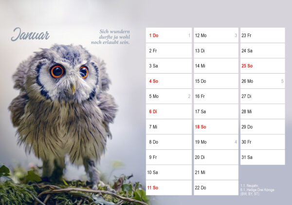 Monatstischkalender zum Aufstellen DIN A5 quer – Bild 3