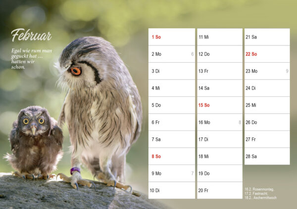 Monatstischkalender zum Aufstellen DIN A5 quer – Bild 4