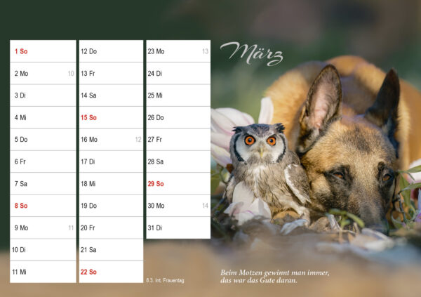 Monatstischkalender zum Aufstellen DIN A5 quer – Bild 5