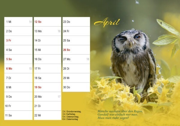 Monatstischkalender zum Aufstellen DIN A5 quer – Bild 6