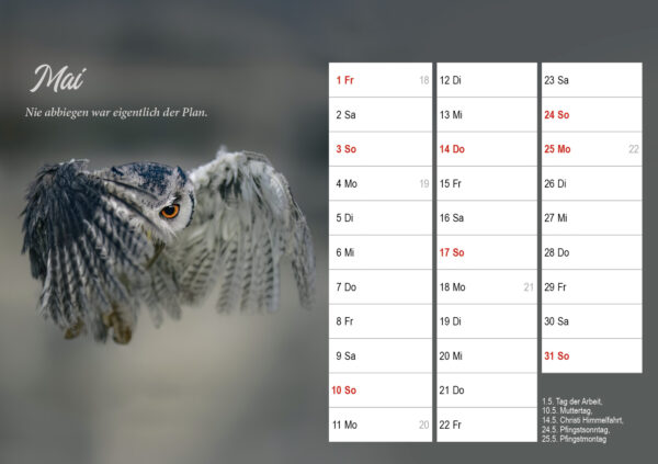 Monatstischkalender zum Aufstellen DIN A5 quer – Bild 7
