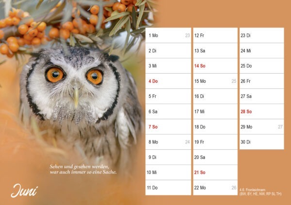 Monatstischkalender zum Aufstellen DIN A5 quer – Bild 8