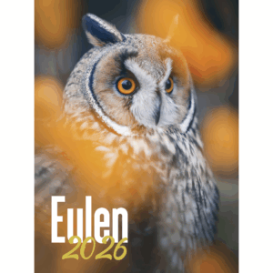 Eulen DIN A3 Hochformat