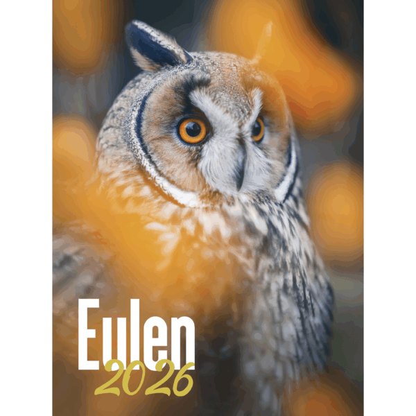 Eulen DIN A3 Hochformat