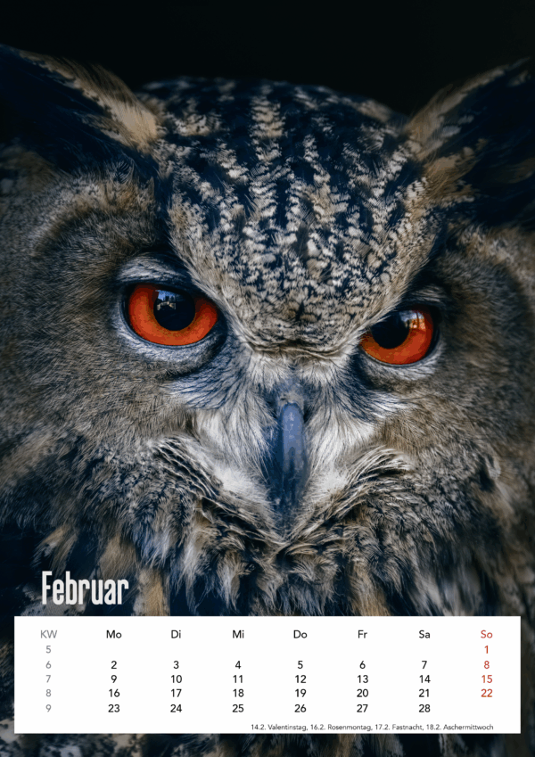 Eulen DIN A3 Hochformat – Bild 4