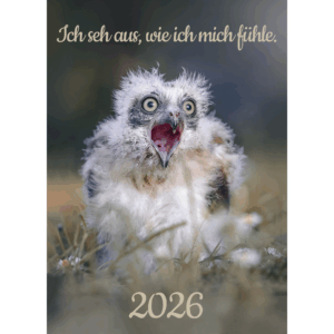 Kalender Ich seh aus, wie ich mich fühle