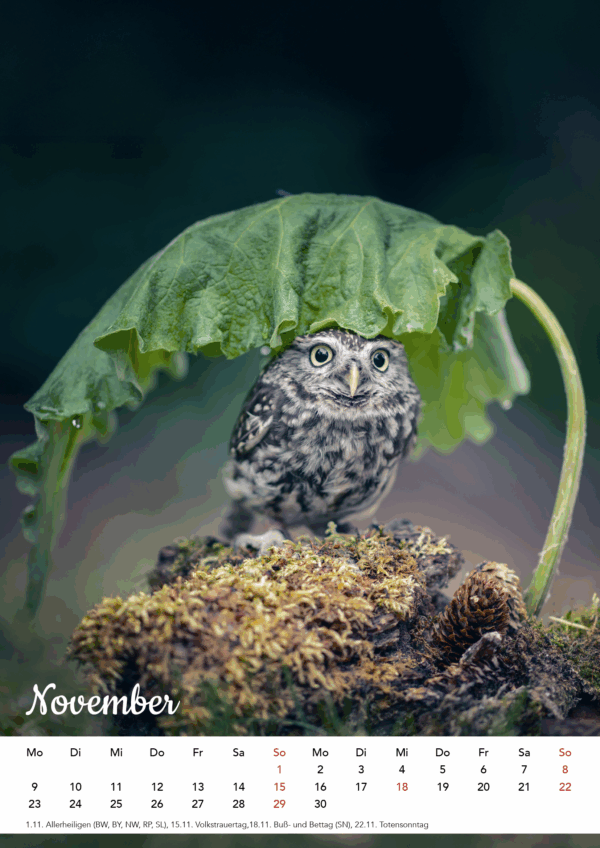 Kalender Ich seh aus, wie ich mich fühle – Bild 13