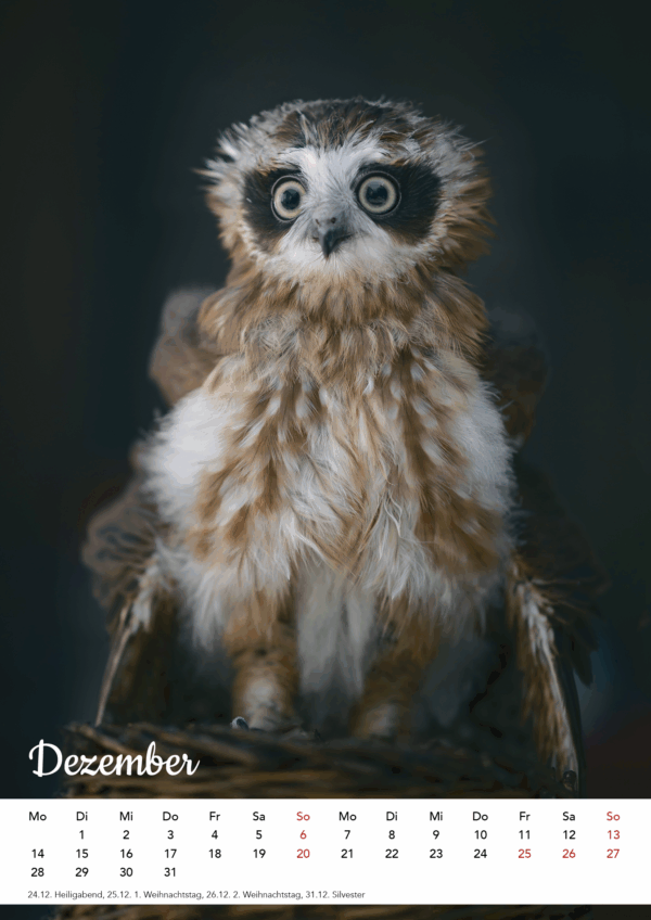 Kalender Ich seh aus, wie ich mich fühle – Bild 14