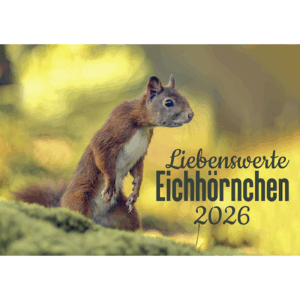 Eichhörnchen Tischkalender