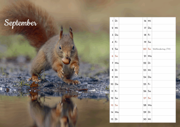 Eichhörnchen Tischkalender – Bild 11