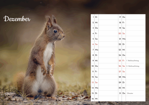 Eichhörnchen Tischkalender – Bild 14