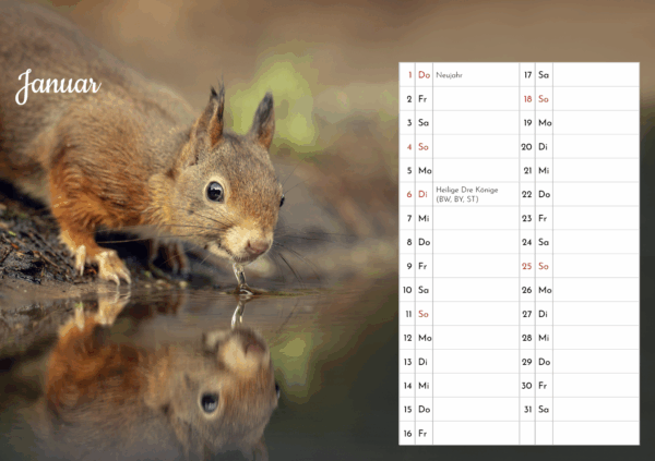 Eichhörnchen Tischkalender – Bild 3