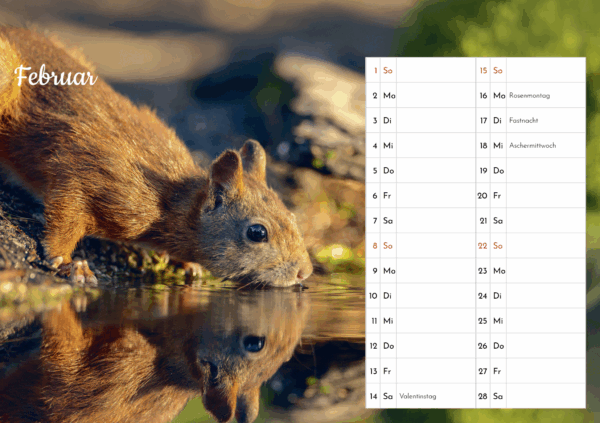 Eichhörnchen Tischkalender – Bild 4