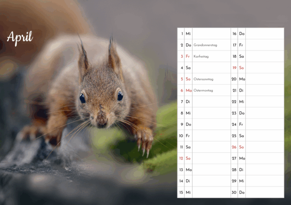 Eichhörnchen Tischkalender – Bild 6