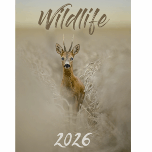 Wildlife Kalender 2026