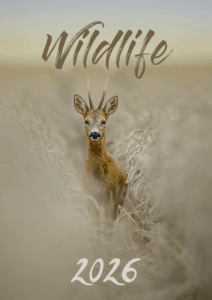 Wildlife_A4_hoch_2026
