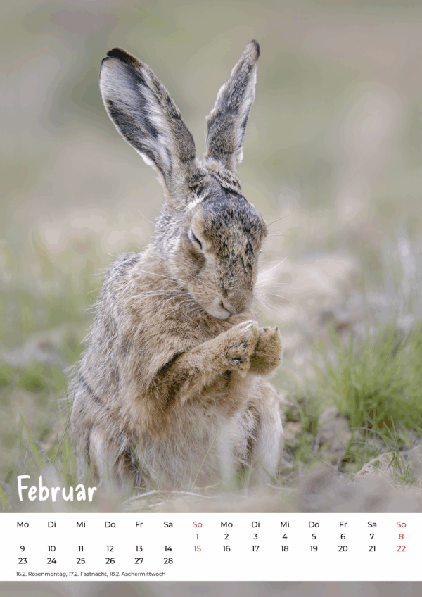 Kalender Wildlife 2026 – Bild 3
