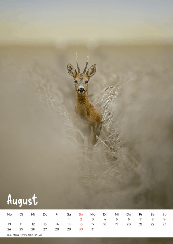 Kalender Wildlife 2026 – Bild 9