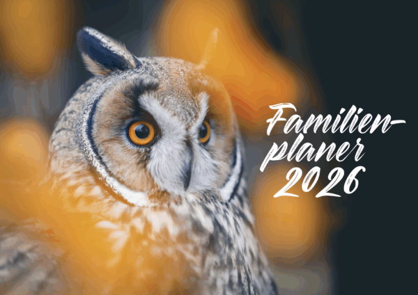 Familienplaner DIN A3 Querformat – Bild 2