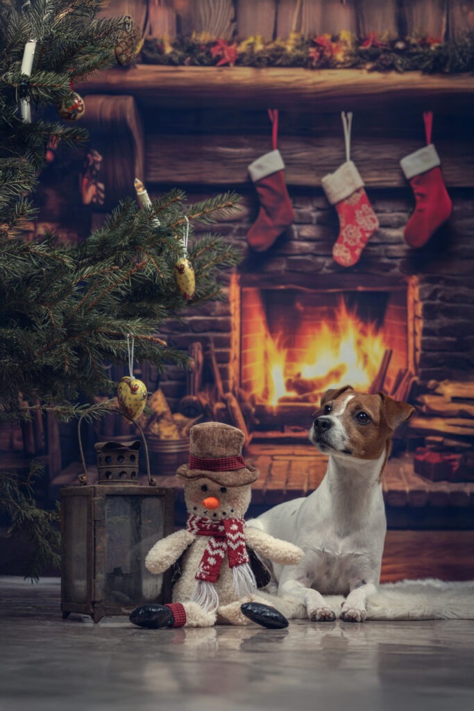 Weihnachtsshootings