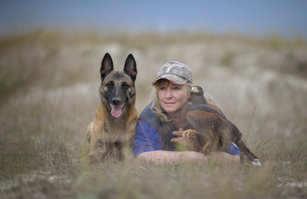 Malinois Ingo