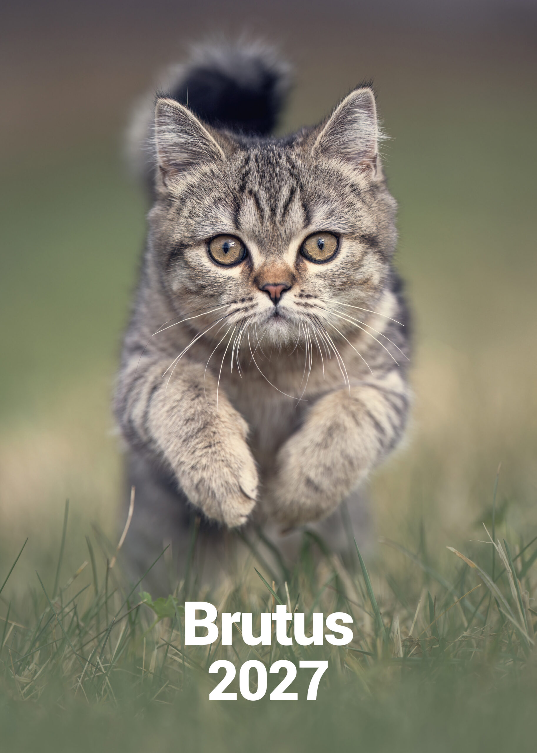Brutus Kalender 2027 – Bild 2