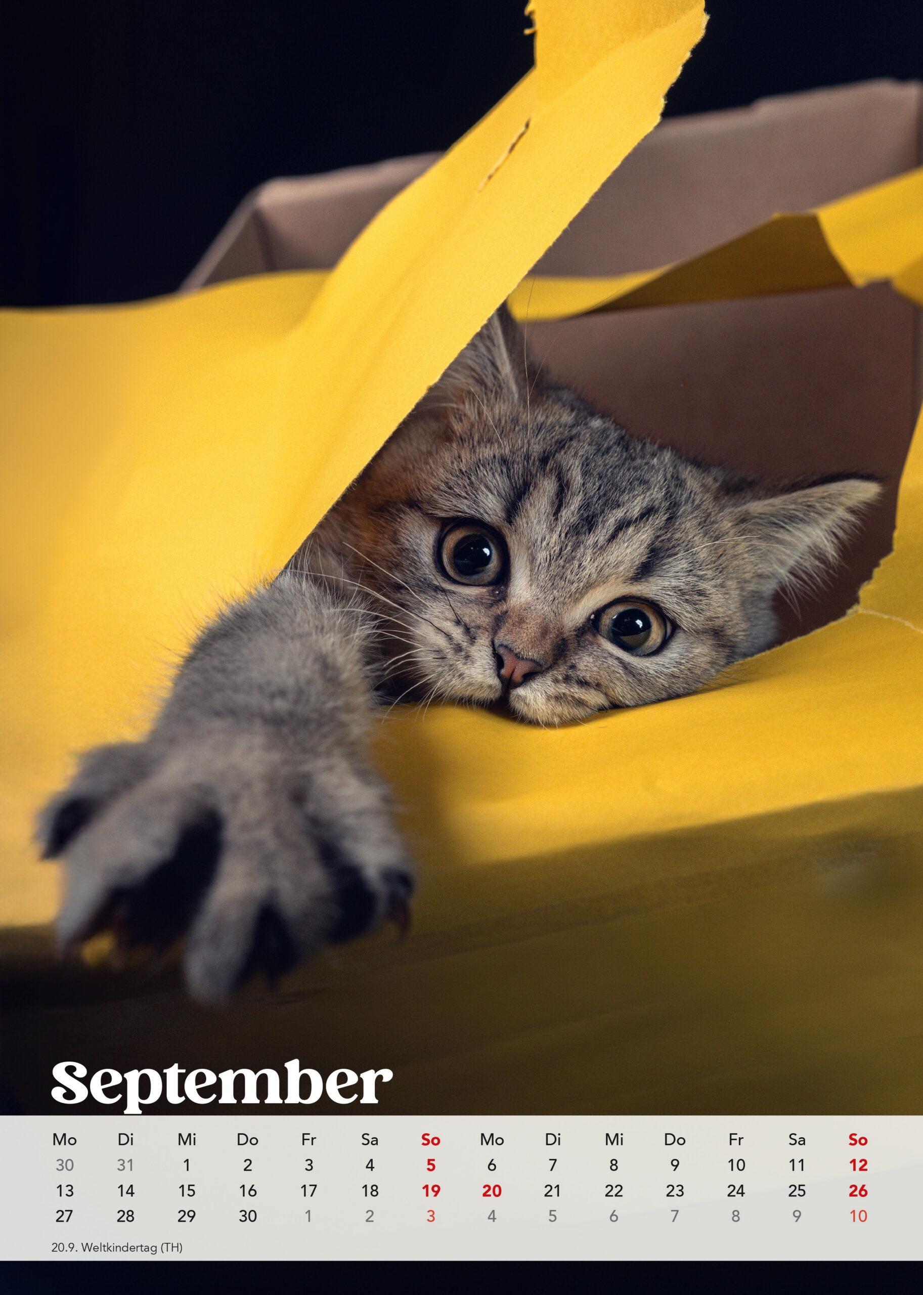 Brutus Kalender 2027 – Bild 11
