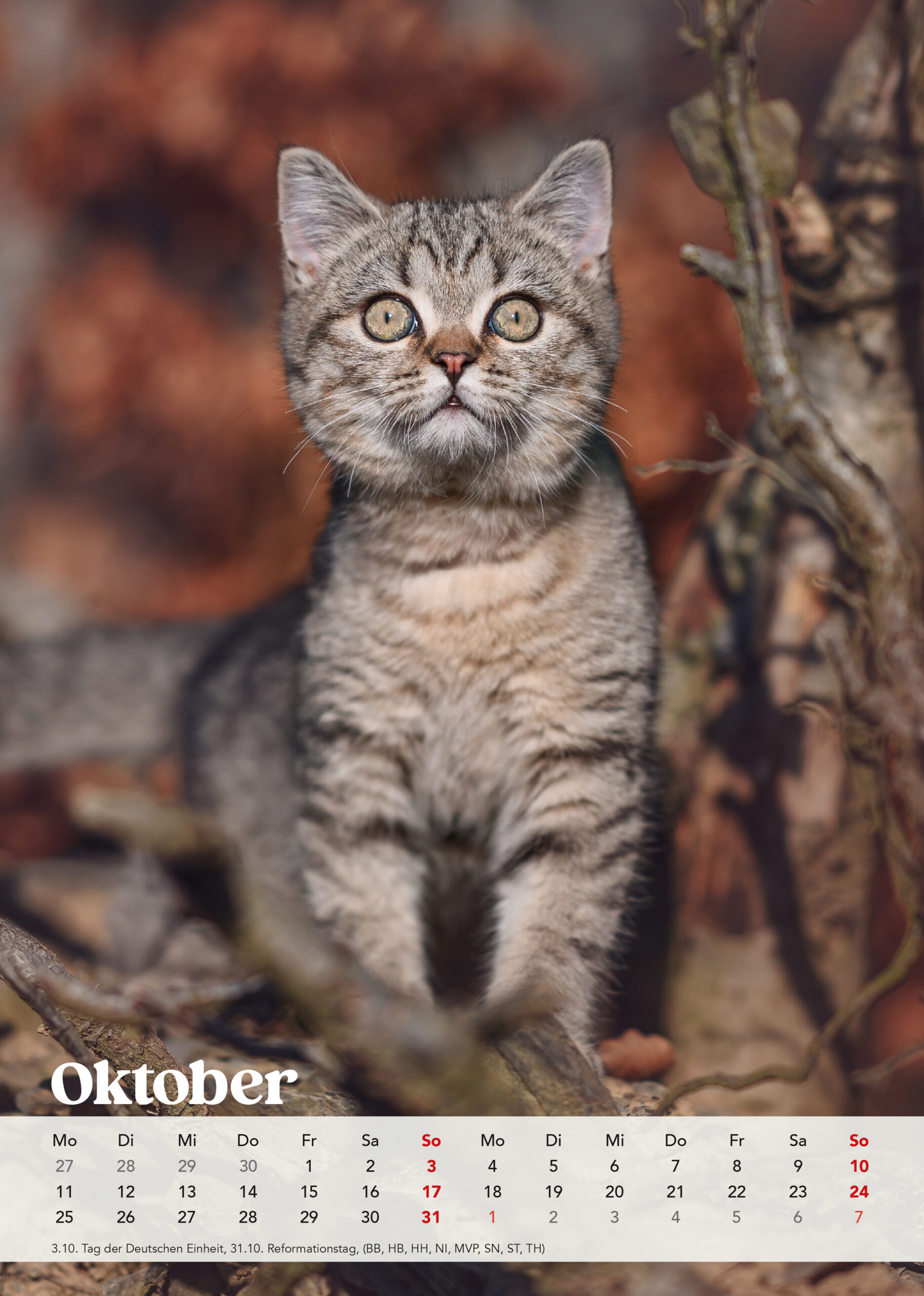 Brutus Kalender 2027 – Bild 12